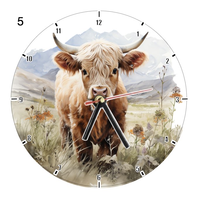 Clocks with 14x different Highland Cows - Group C