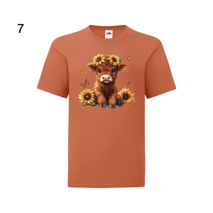 Kids - Highland Cows - Images x16