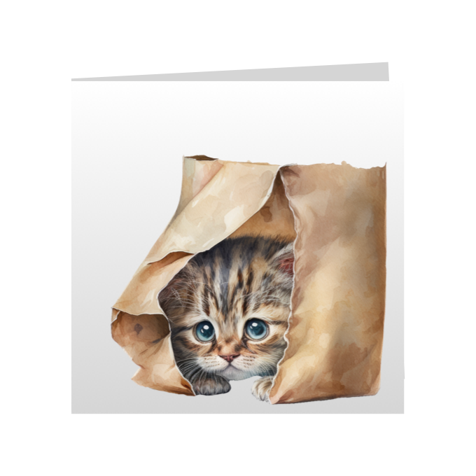 Square Greeting Cards - Cute Kittens