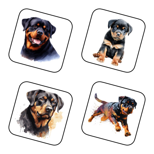 Coasters - 48x different images of Rottweiler dog breed
