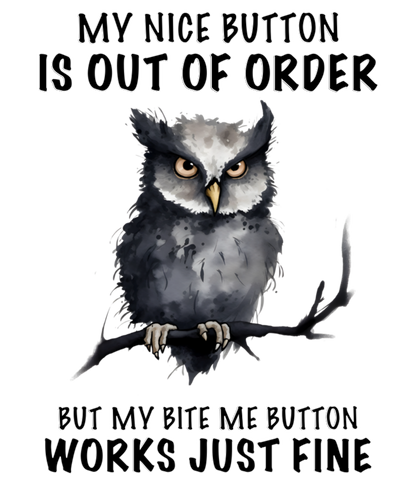 Adult - Sarcastic Sayings with Owls - 7  images