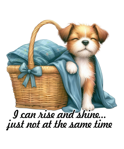 Adult - Sarcastic Sayings with Dogs - 17  images