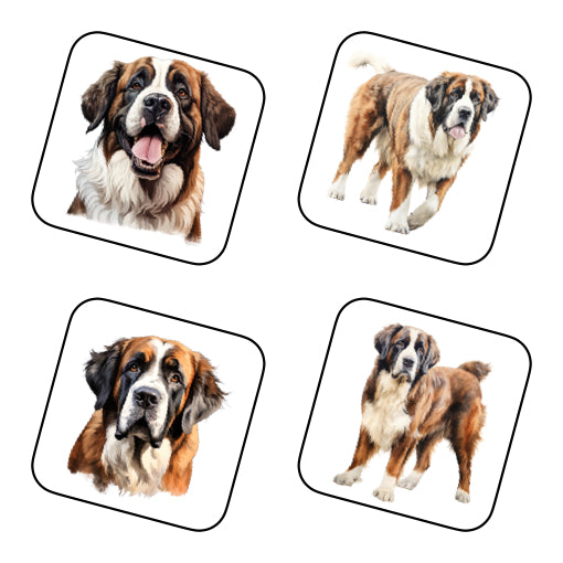 Coasters - 20x different images of St Bernard dog breed