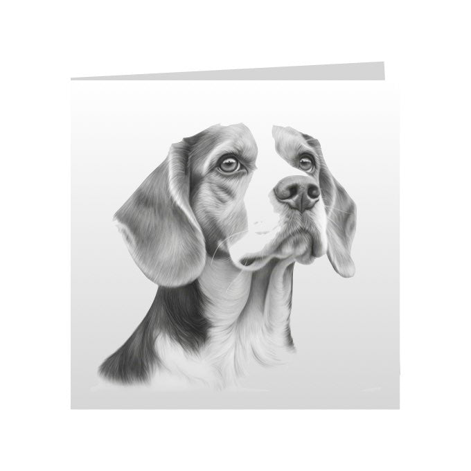 Square Greeting Cards with Sketched Beagles