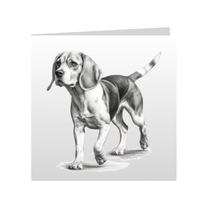 Square Greeting Cards with Sketched Beagles