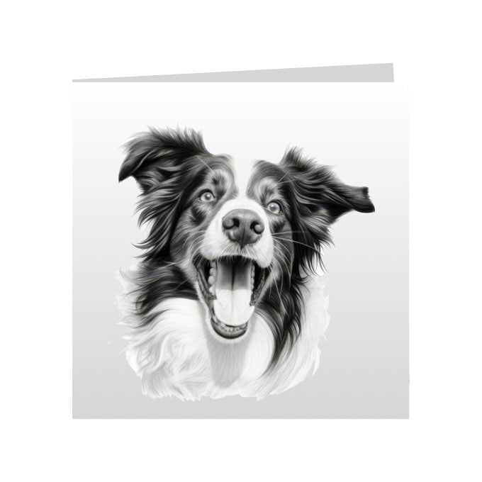 Square Greeting Cards with Sketched Border Collies