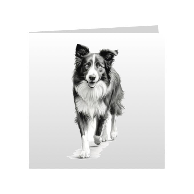 Square Greeting Cards with Sketched Border Collies