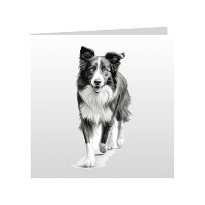 Square Greeting Cards with Sketched Border Collies