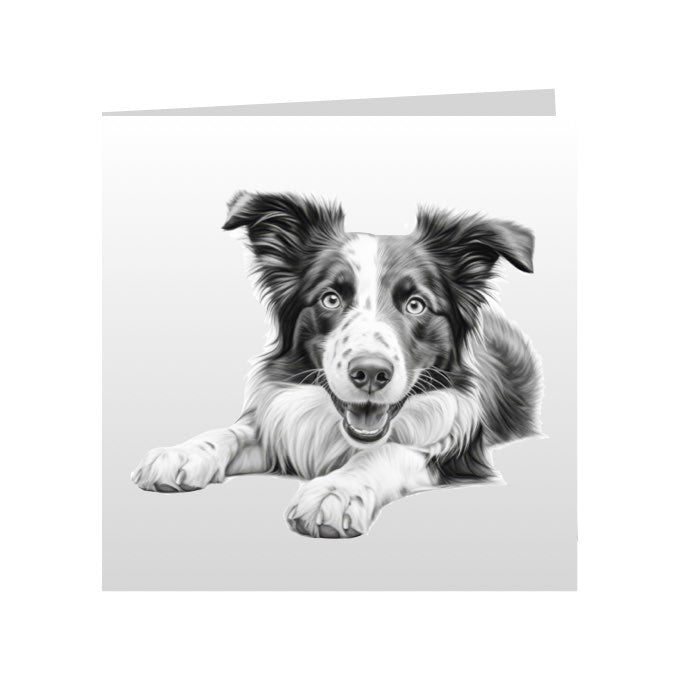 Square Greeting Cards with Sketched Border Collies