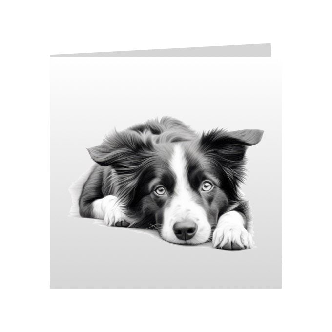 Square Greeting Cards with Sketched Border Collies