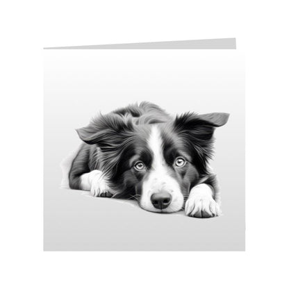 Square Greeting Cards with Sketched Border Collies