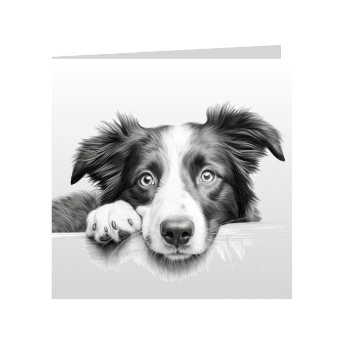 Square Greeting Cards with Sketched Border Collies
