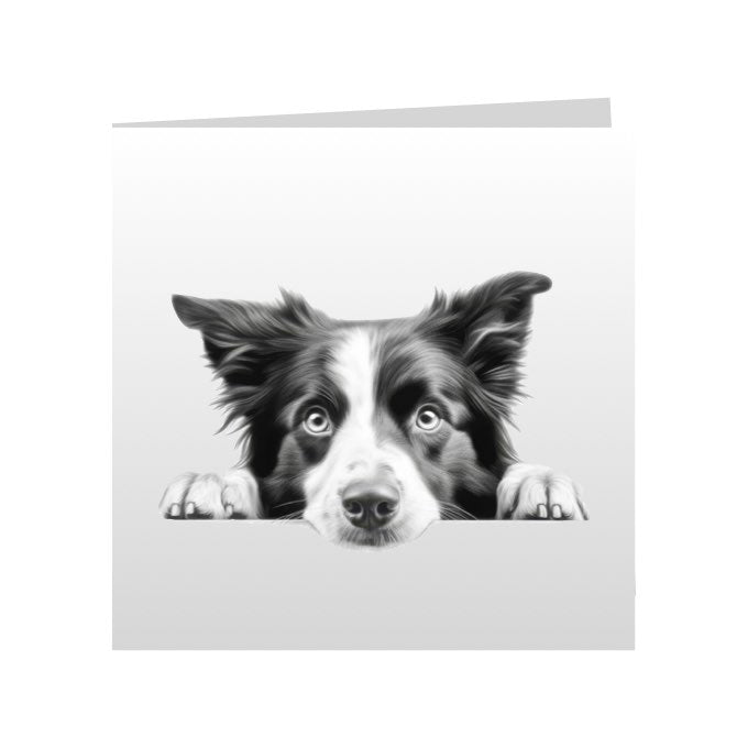 Square Greeting Cards with Sketched Border Collies