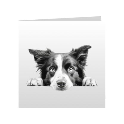 Square Greeting Cards with Sketched Border Collies