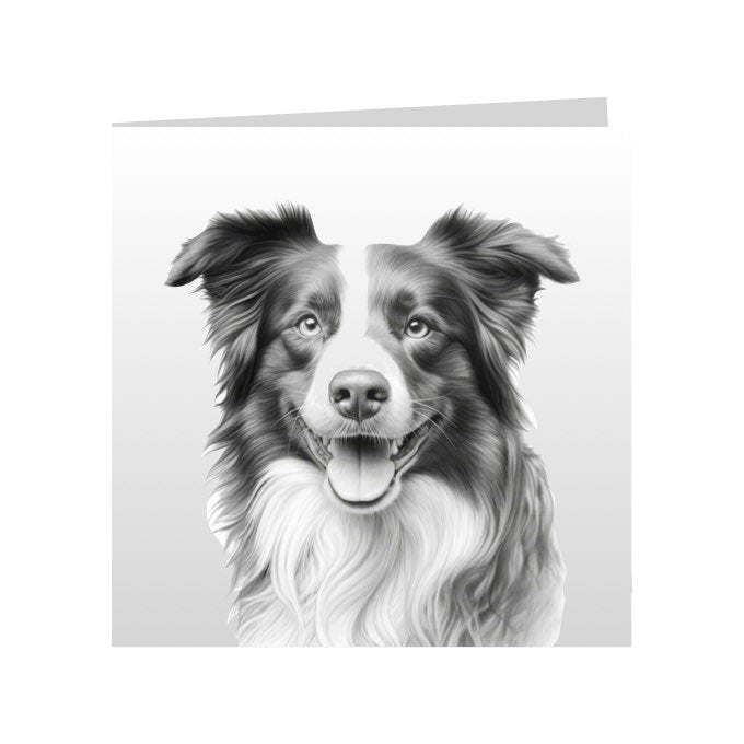Square Greeting Cards with Sketched Border Collies