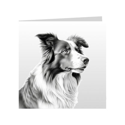 Square Greeting Cards with Sketched Border Collies