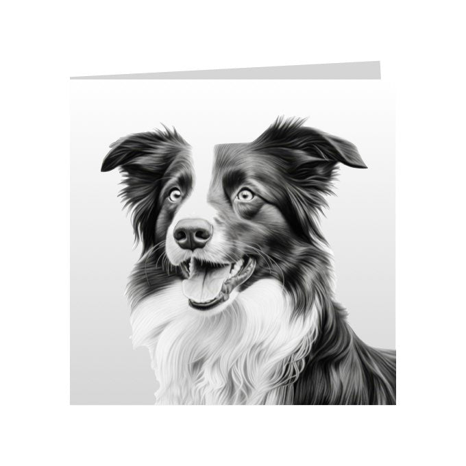 Square Greeting Cards with Sketched Border Collies