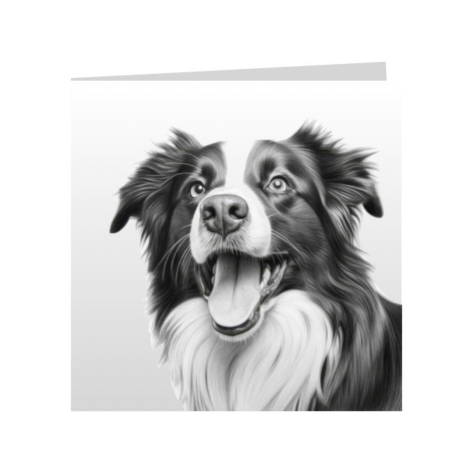 Square Greeting Cards with Sketched Border Collies