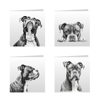 Square Greeting Cards with Sketched Boxers