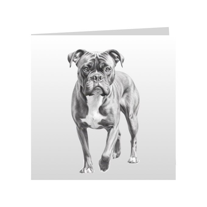 Square Greeting Cards with Sketched Boxers