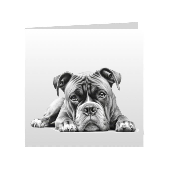 Square Greeting Cards with Sketched Boxers