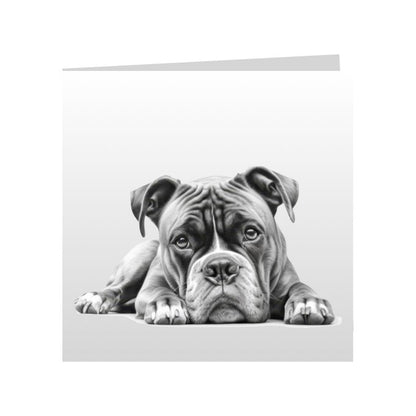 Square Greeting Cards with Sketched Boxers