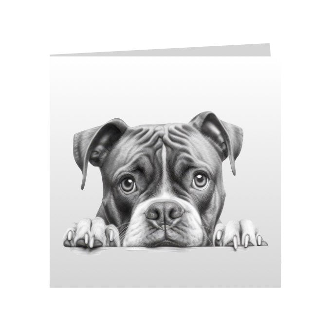 Square Greeting Cards with Sketched Boxers