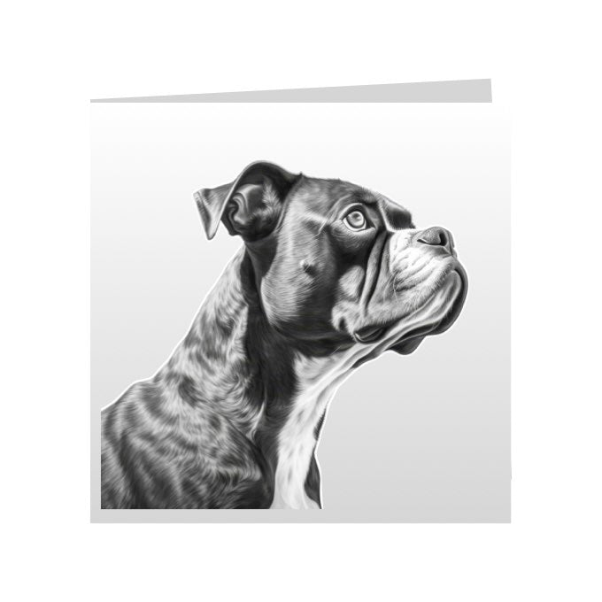 Square Greeting Cards with Sketched Boxers