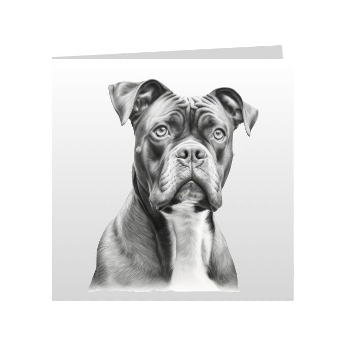 Square Greeting Cards with Sketched Boxers