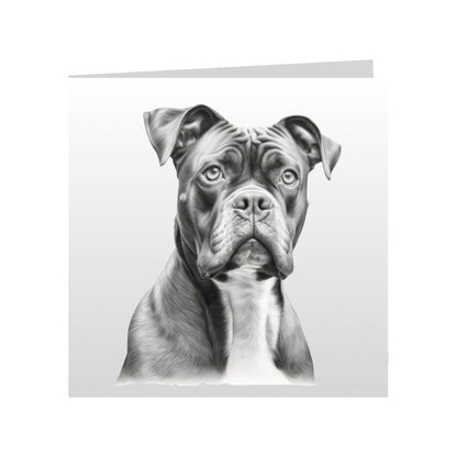 Square Greeting Cards with Sketched Boxers