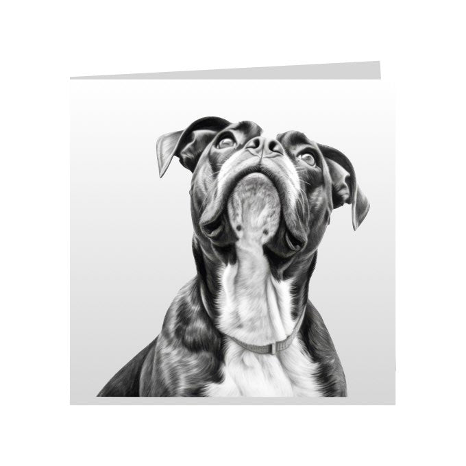 Square Greeting Cards with Sketched Boxers