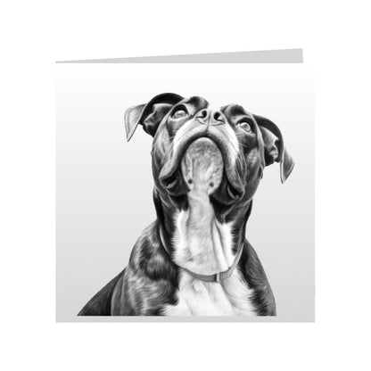 Square Greeting Cards with Sketched Boxers