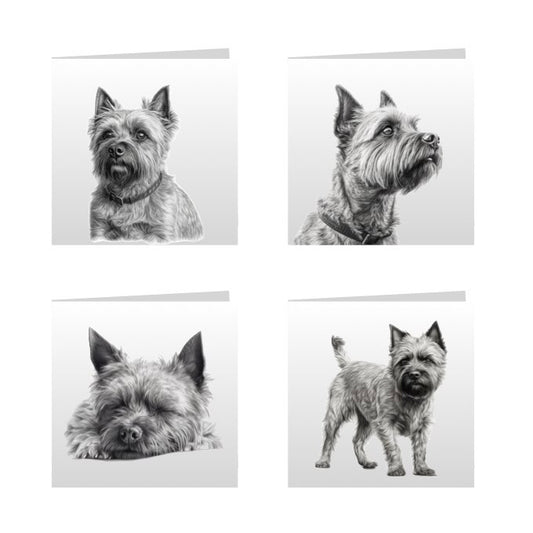 Square Greeting Cards with Sketched Cairn Terriers