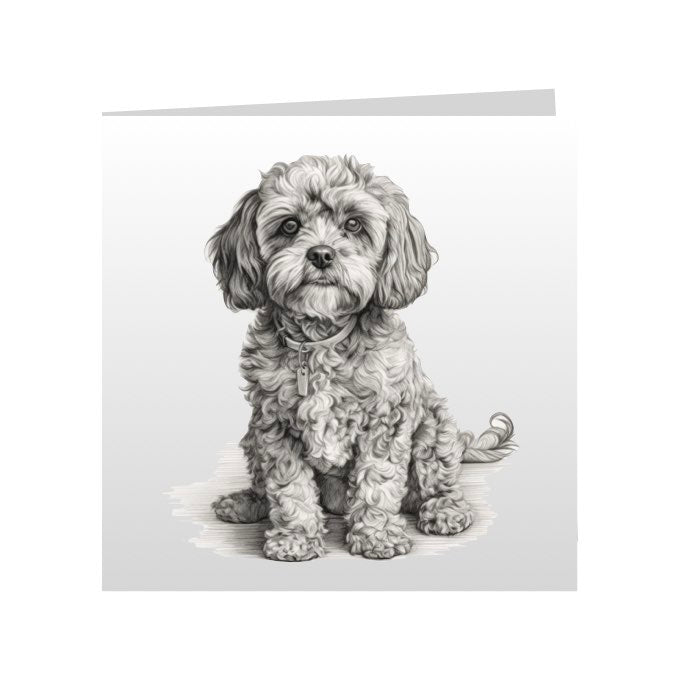 Square Greeting Cards with Sketched Cockapoos