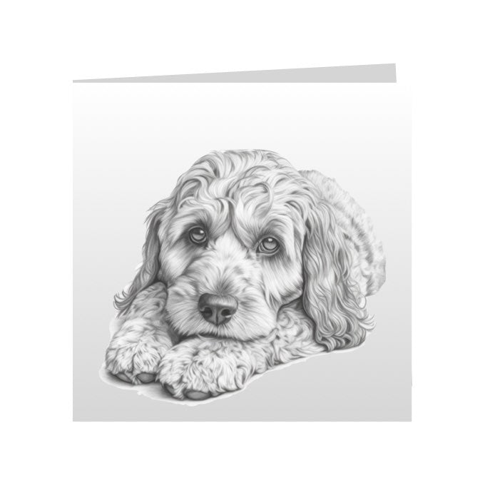 Square Greeting Cards with Sketched Cockapoos