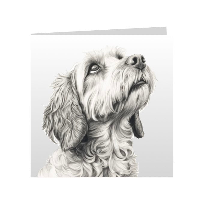 Square Greeting Cards with Sketched Cockapoos