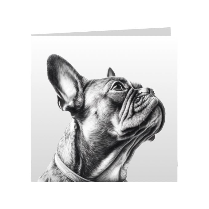 Square Greeting Cards with Sketched French Bulldog