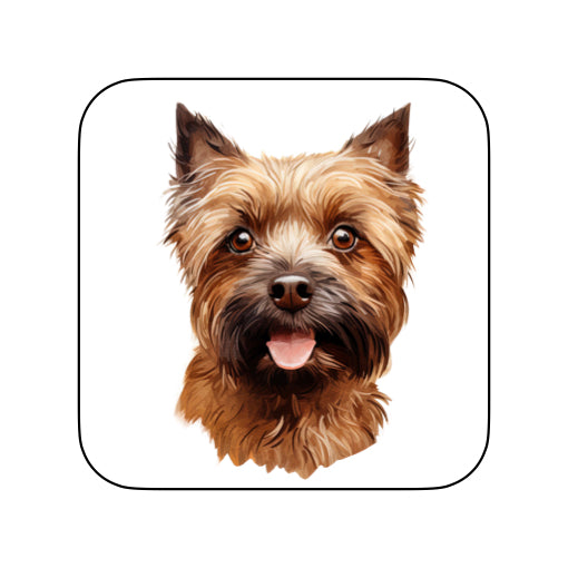 Coasters of dog breed -Affenpinscher