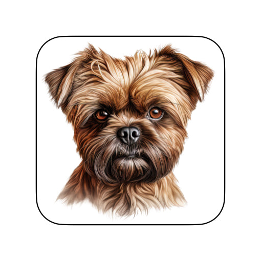 Coasters of dog breed -Affenpinscher