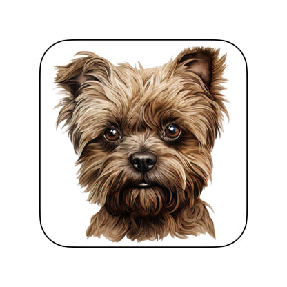 Coasters of dog breed -Affenpinscher
