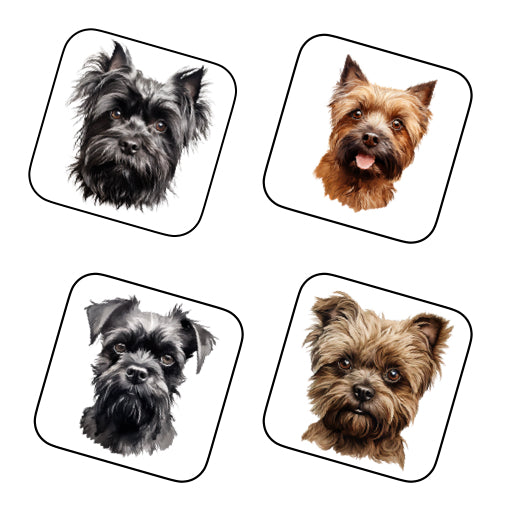 Coasters of dog breed -Affenpinscher