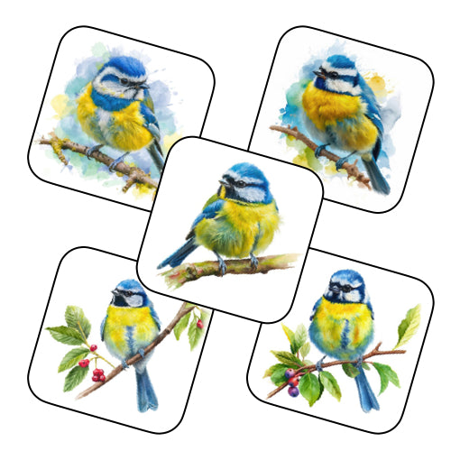 Coasters of Birds - Blue & Yellow