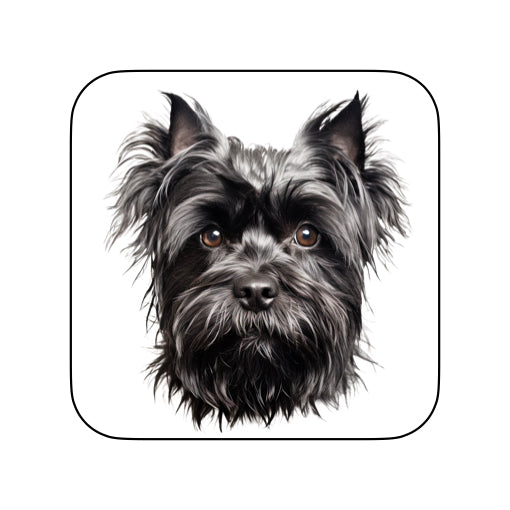 Coasters of dog breed -Affenpinscher