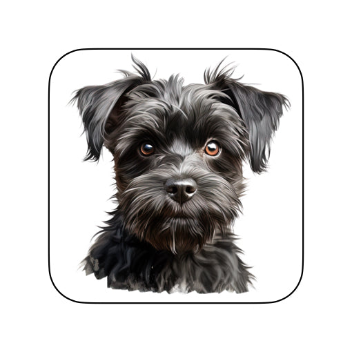 Coasters of dog breed -Affenpinscher