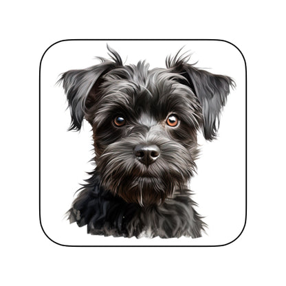 Coasters of dog breed -Affenpinscher