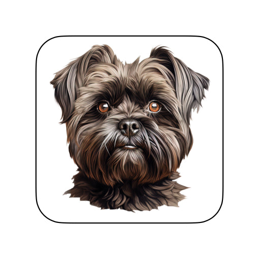 Coasters of dog breed -Affenpinscher