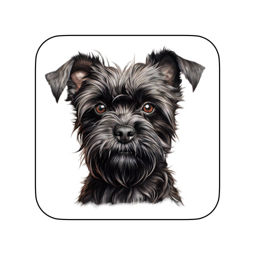Coasters of dog breed -Affenpinscher