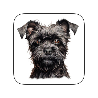 Coasters of dog breed -Affenpinscher