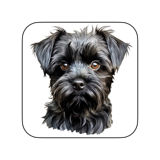 Coasters of dog breed -Affenpinscher