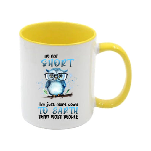 Mug - 11oz - I'm not short I'm just more down to earth than most people